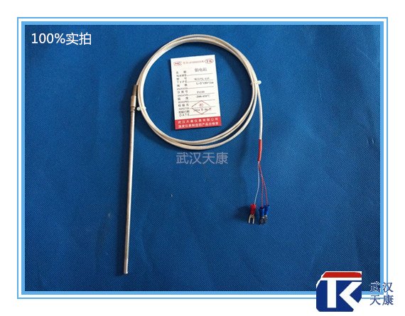 補償導線式熱電阻/WZPK-195/pt100熱電阻
